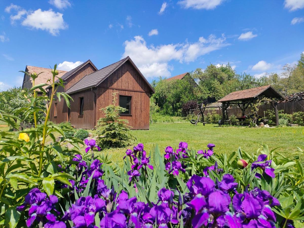 Organicle Lodge Sincraieni Ngoại thất bức ảnh