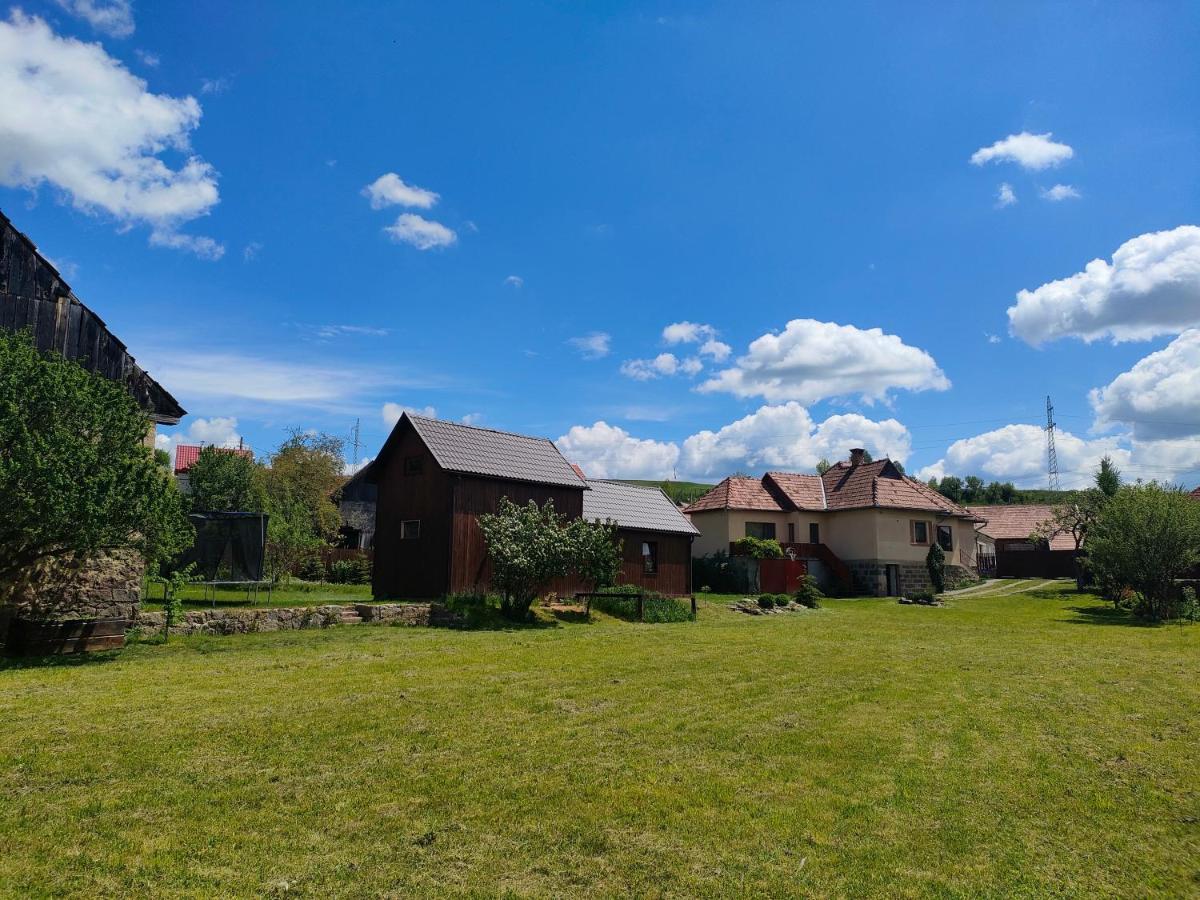Organicle Lodge Sincraieni Ngoại thất bức ảnh