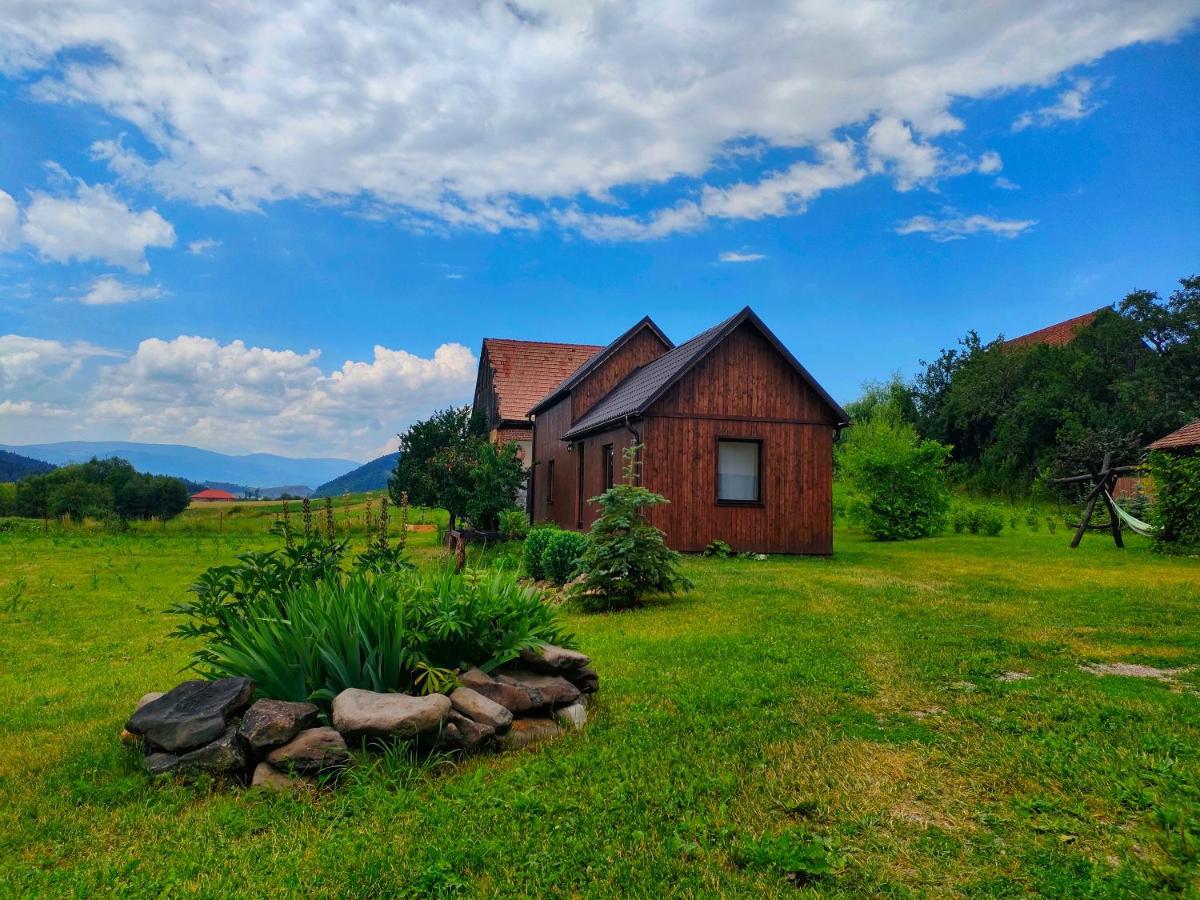 Organicle Lodge Sincraieni Ngoại thất bức ảnh