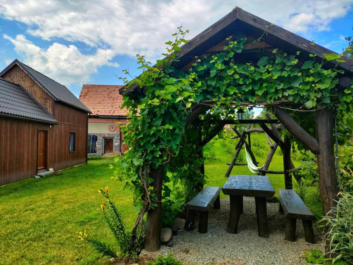 Organicle Lodge Sincraieni Ngoại thất bức ảnh