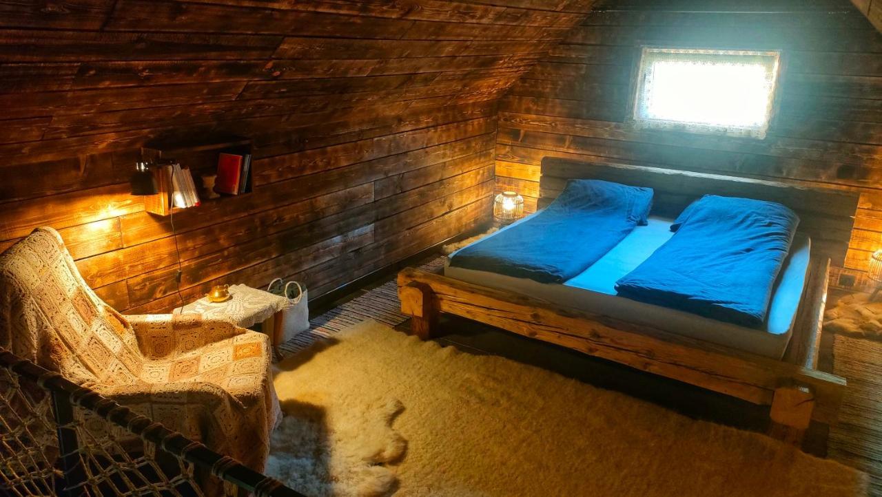 Organicle Lodge Sincraieni Ngoại thất bức ảnh