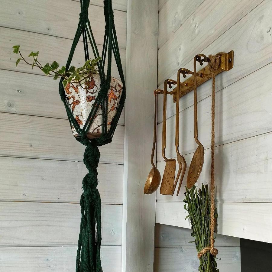 Organicle Lodge Sincraieni Ngoại thất bức ảnh
