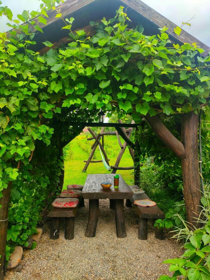 Organicle Lodge Sincraieni Ngoại thất bức ảnh
