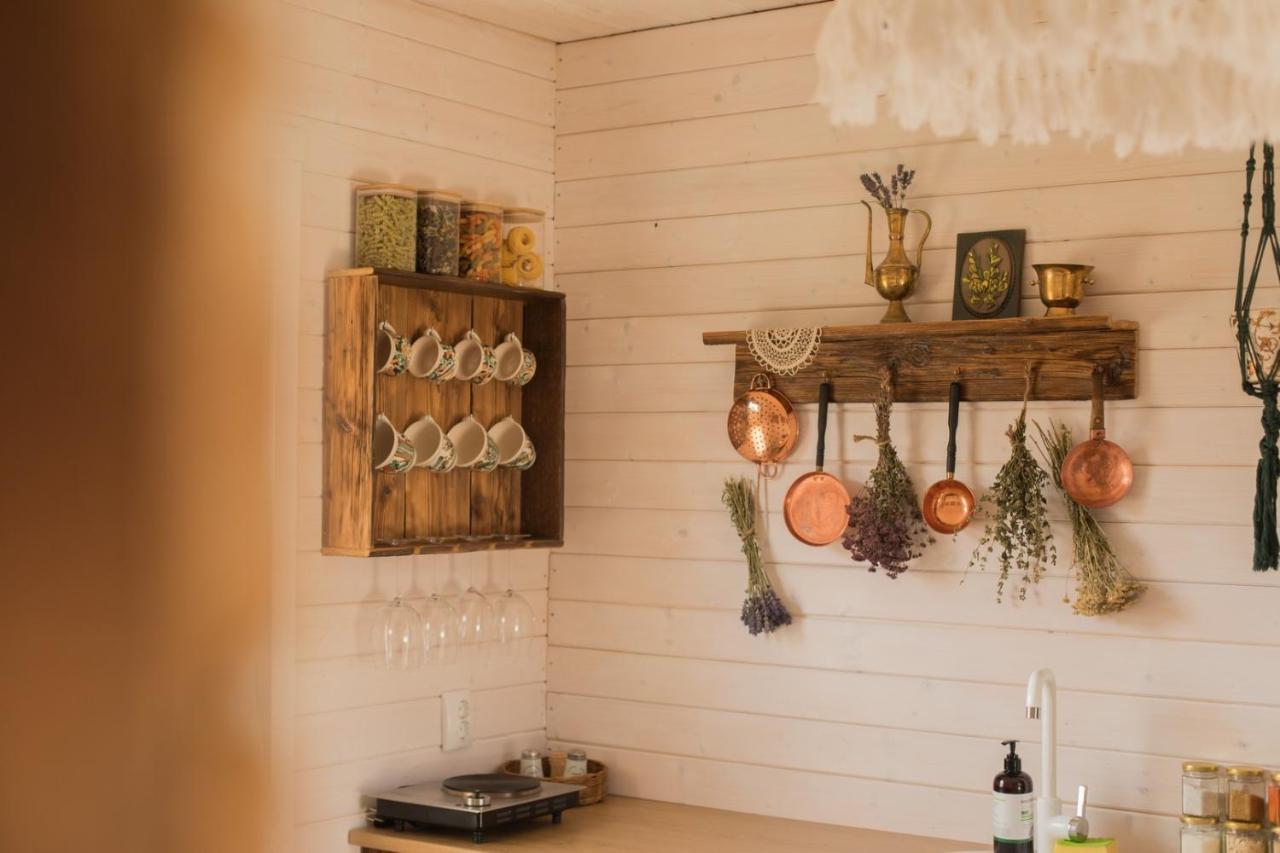 Organicle Lodge Sincraieni Ngoại thất bức ảnh